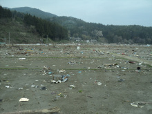 ミモザのブログ