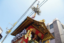 $ミモザのブログ