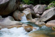 ミモザのブログ